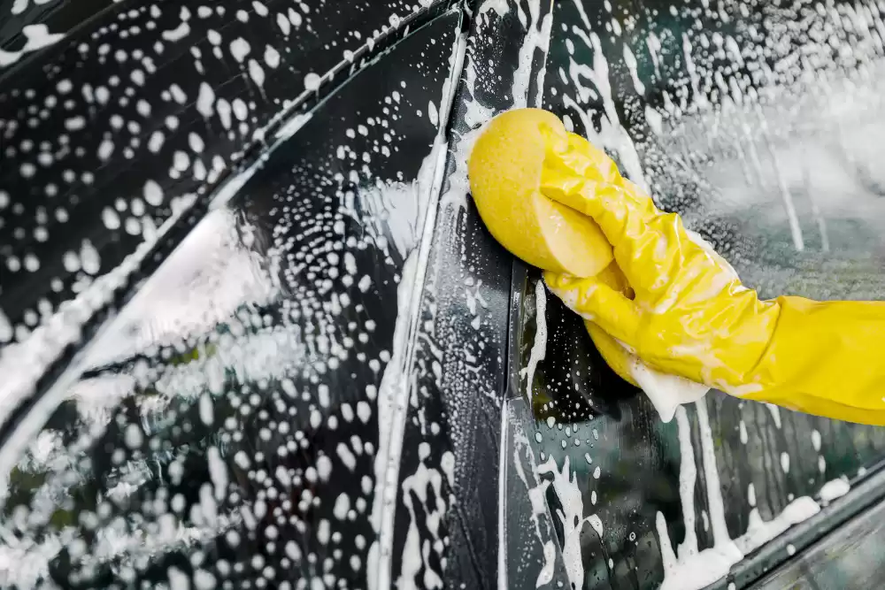 Paint Decontamination