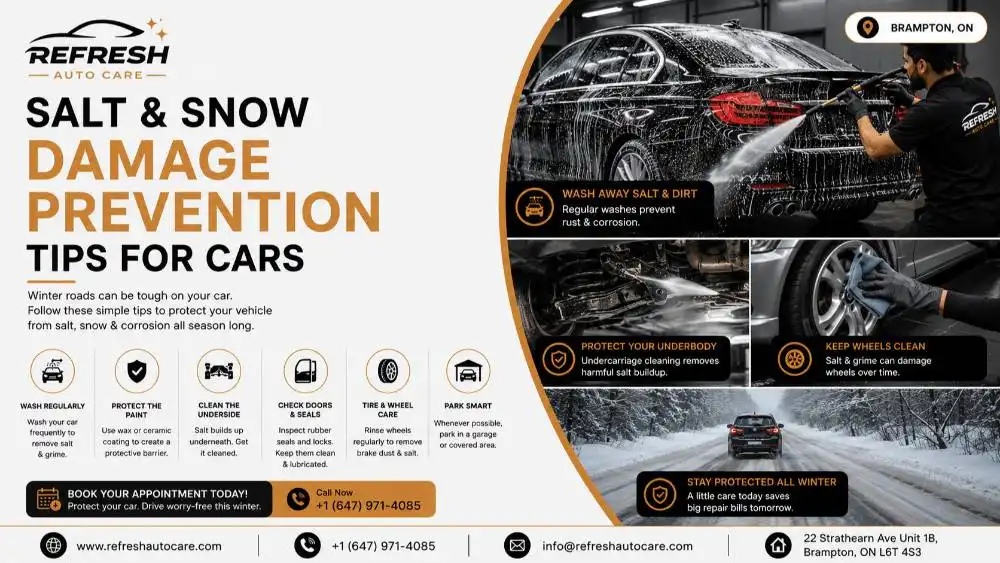 How Can You Protect Your Car from Salt and Snow Damage?